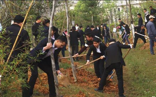 公司新精英参加集体植树活动